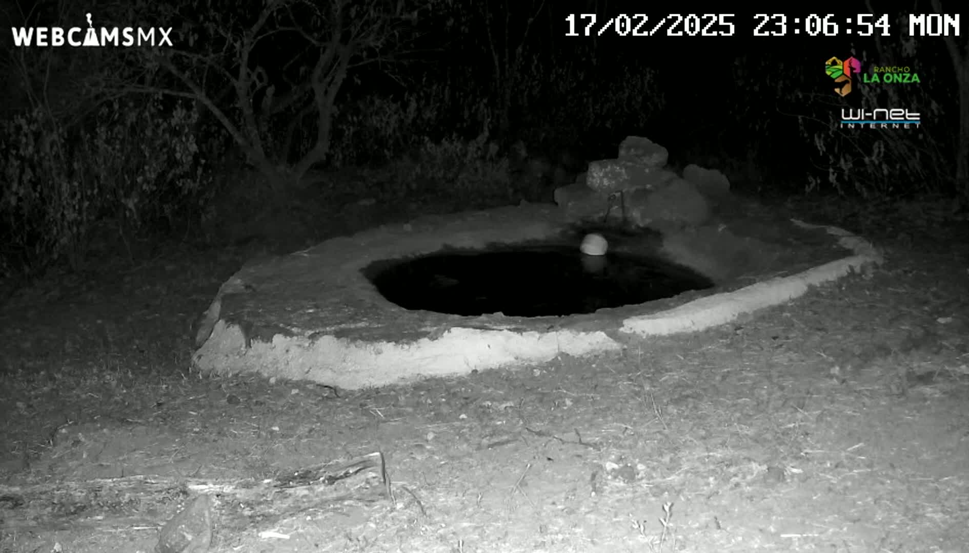 A small, dark pool of water sits within a low, earthen structure at night, under a clear, dark sky.