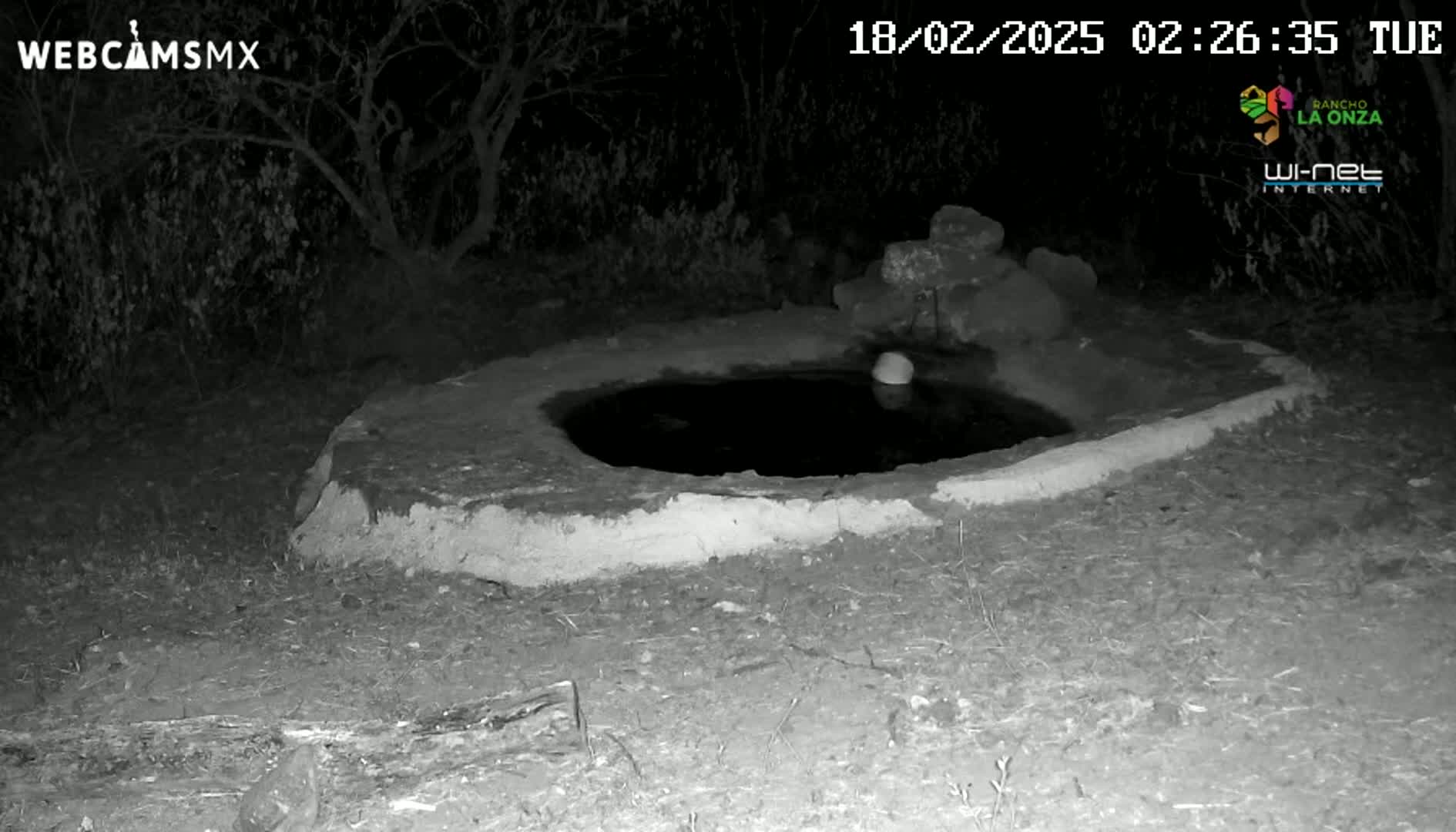A small, shallow, dark pool of water sits in a low, earthen structure at night.