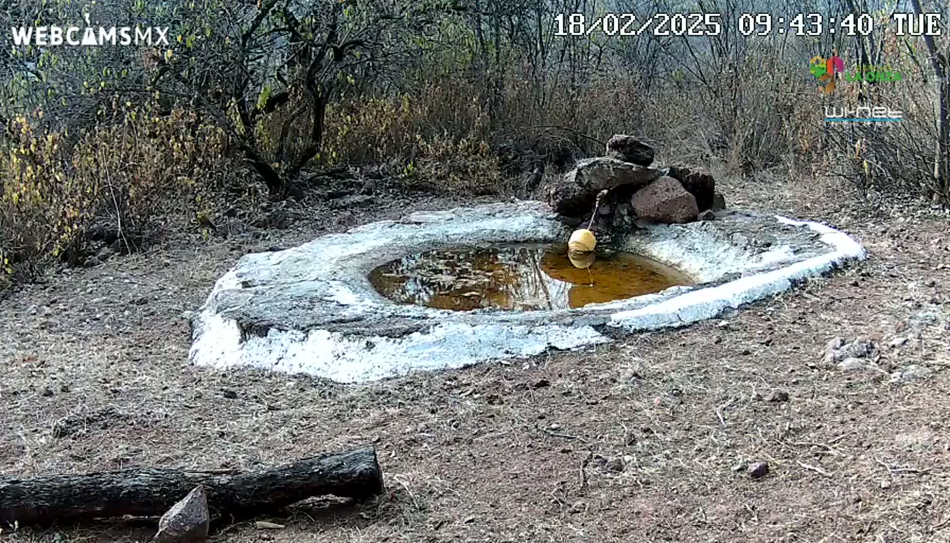 A small, shallow, circular pool of muddy water sits in a stone basin, surrounded by dry, brown vegetation under a clear sky.
