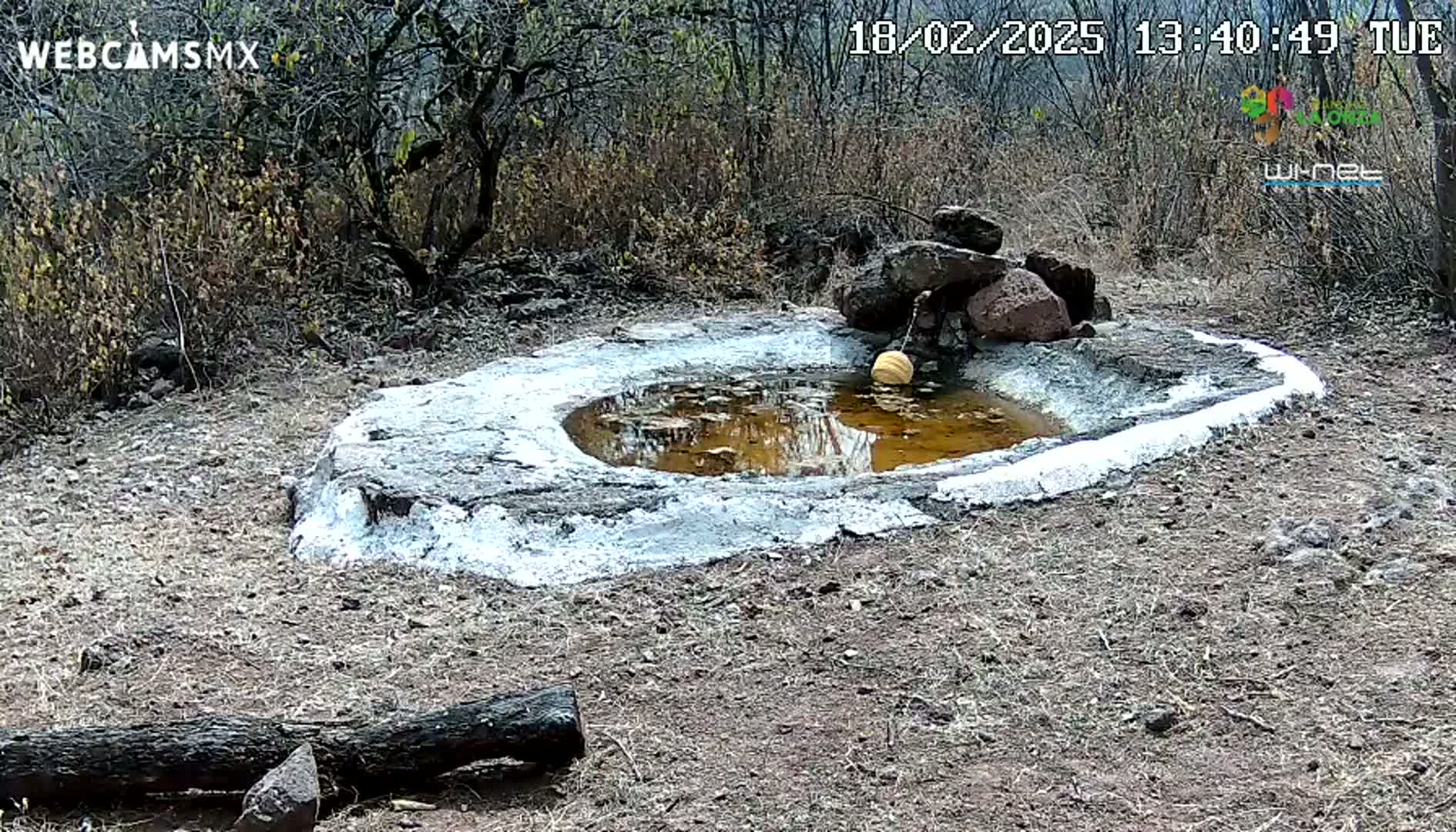 A small, shallow, water-filled basin made of stone and cement sits in a dry, scrubby landscape under a clear sky.