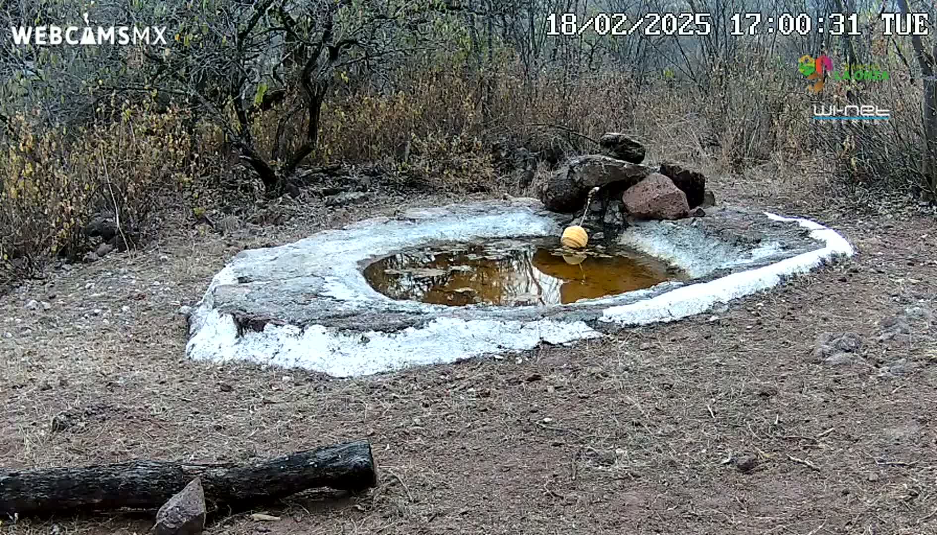 A small, white-rimmed, stone water basin containing murky water sits in a dry, brown, scrubby landscape under a cloudy sky.