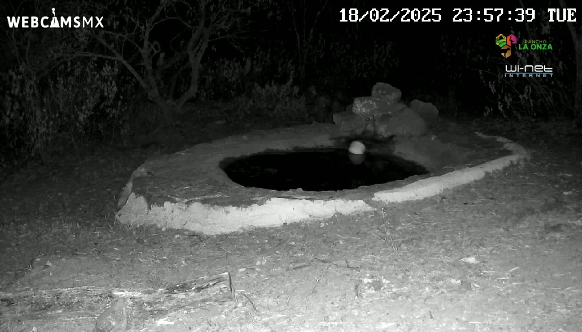 A small, dark pool of water sits in a low, earthen structure at night, surrounded by dry ground and vegetation.