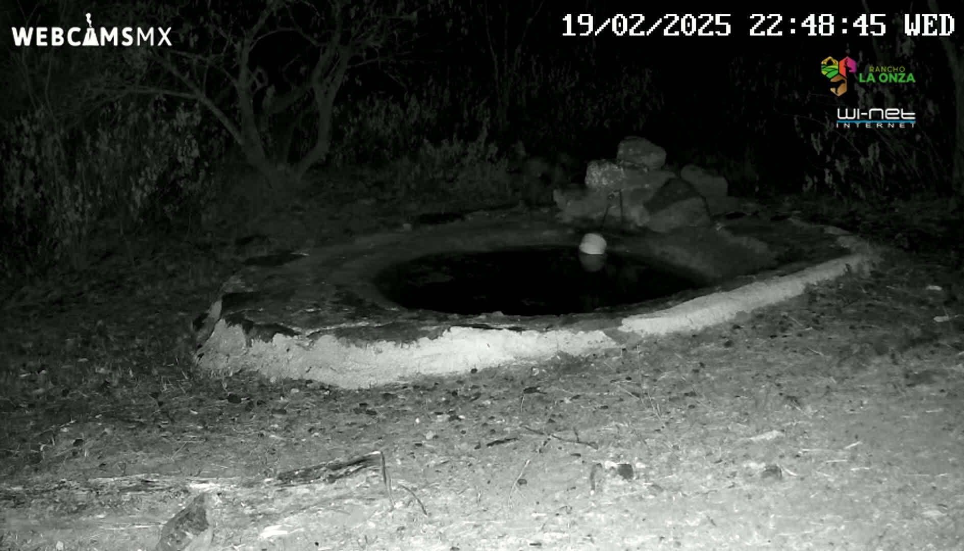 A small, dark, circular pool of water sits in a low stone basin at night, surrounded by dry ground and sparse vegetation.