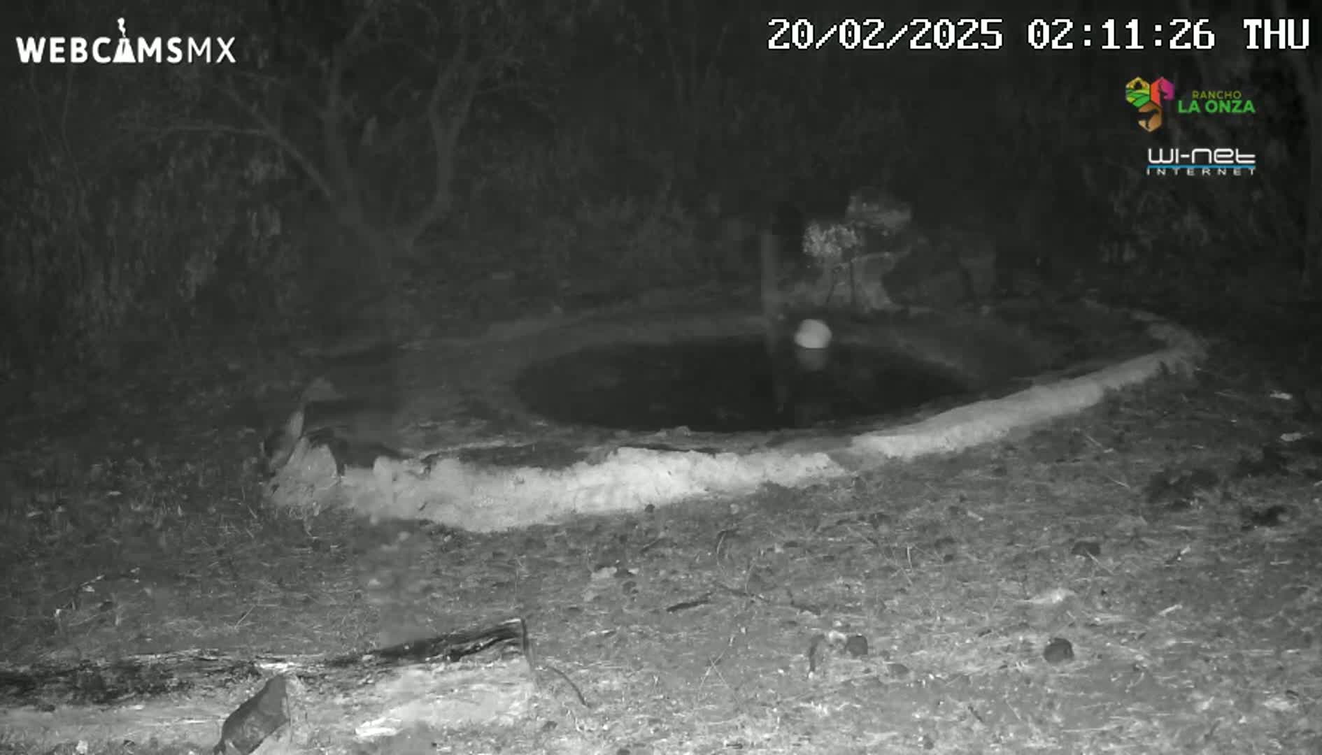 A nighttime infrared image shows a small, dark body of water surrounded by a low earthen wall in a wooded area.