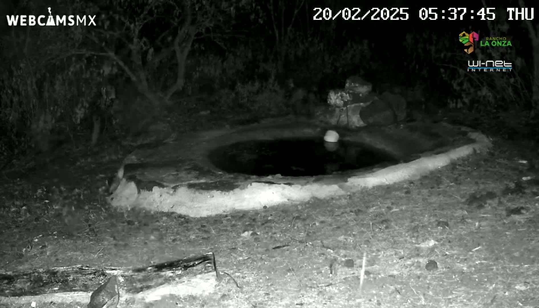 A small, shallow, dark pool of water sits in a low, stone structure at night.