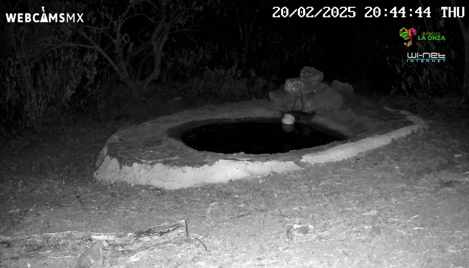 A circular, water-filled basin sits in the ground at night, partially surrounded by rocks and underbrush.