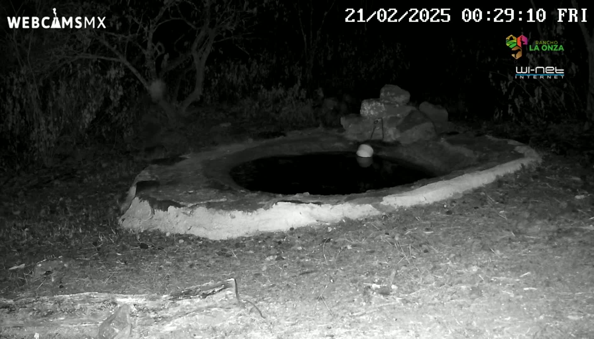 A small, dark pool of water sits within a low, stone structure at night.