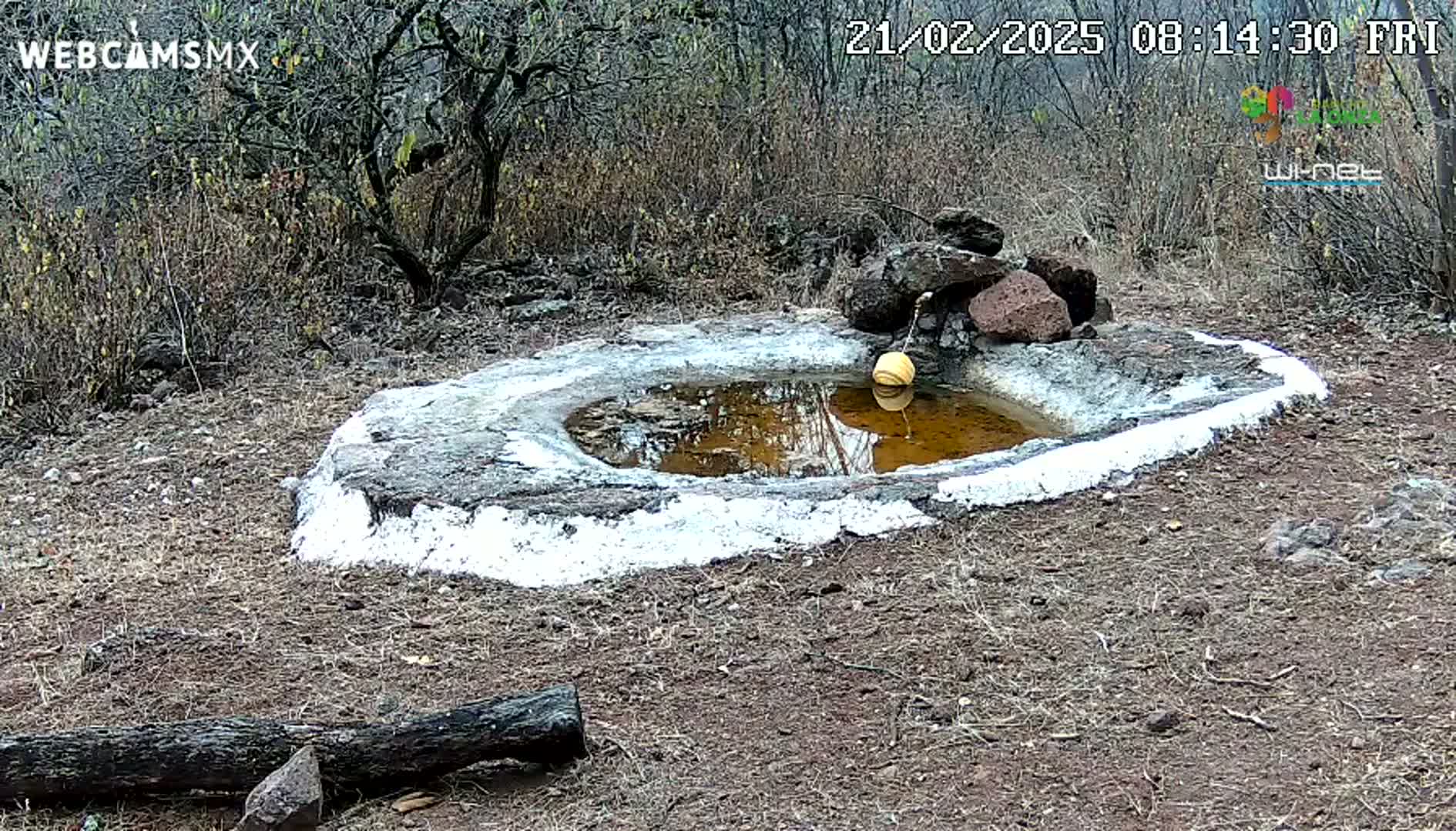 A small, stone, bird bath with a yellow float in murky brown water sits in a dry, scrubby landscape.