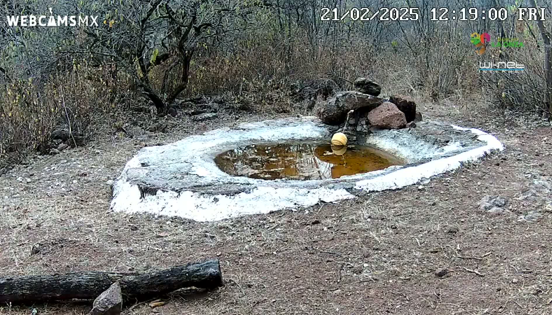 A small, shallow, water-filled basin with a floating object sits in a dry, scrubby landscape under a cloudy sky.