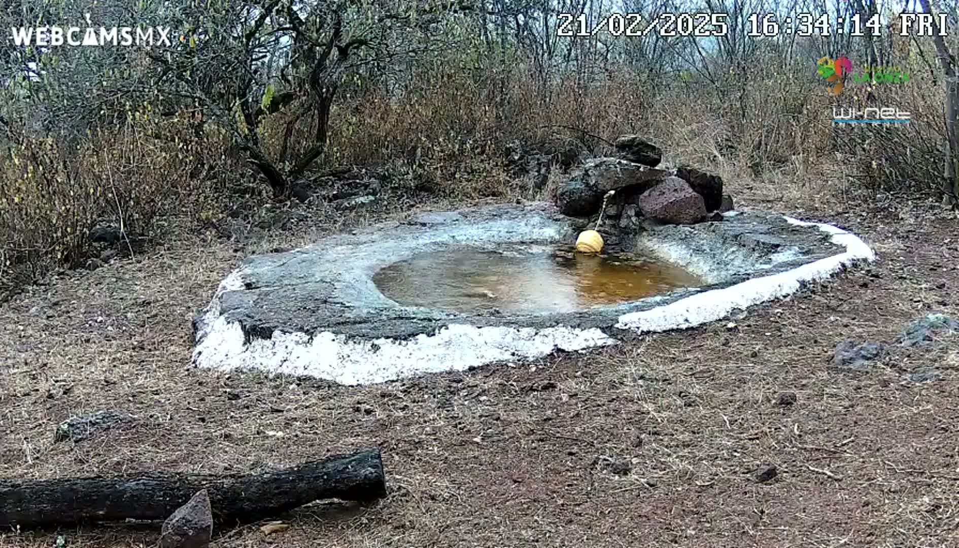 A small, shallow, stone pool with a yellowish float in the center is surrounded by dry, brown brush and sparse trees under a clear sky.