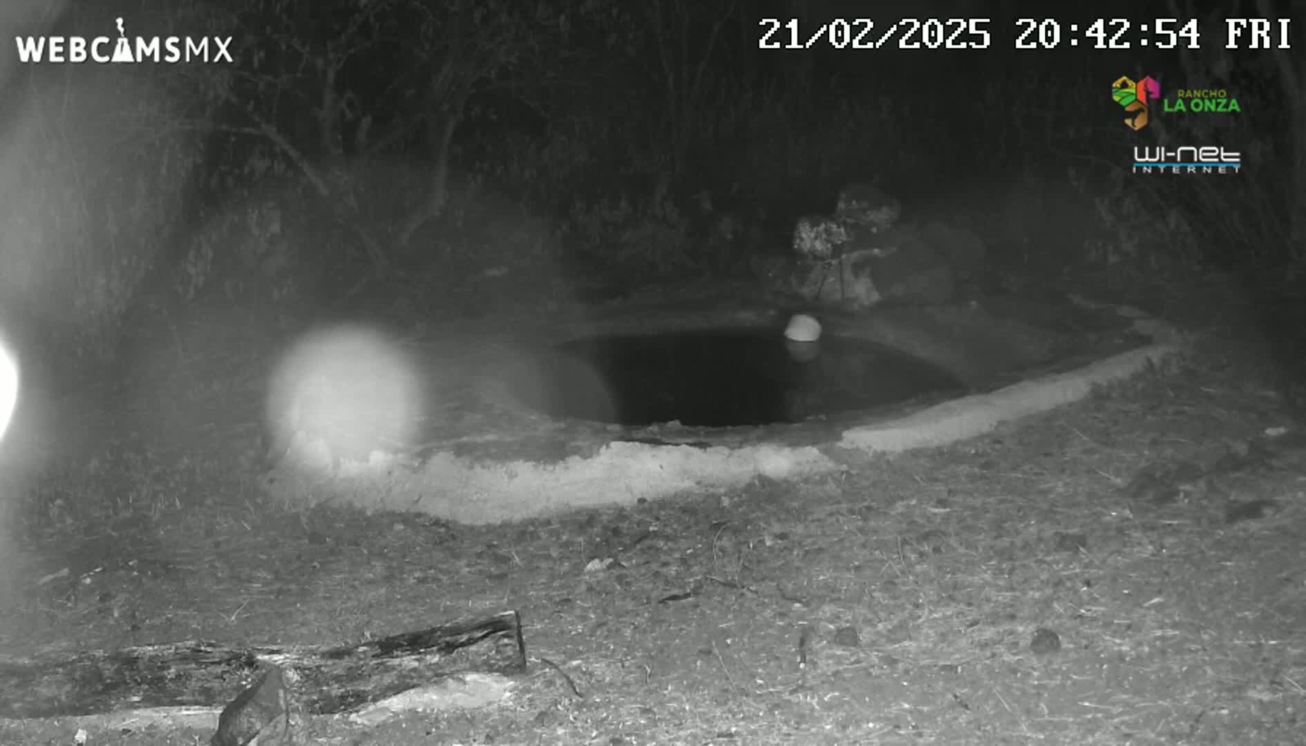 A dark, nighttime scene shows a small, shallow body of water surrounded by dirt and vegetation.