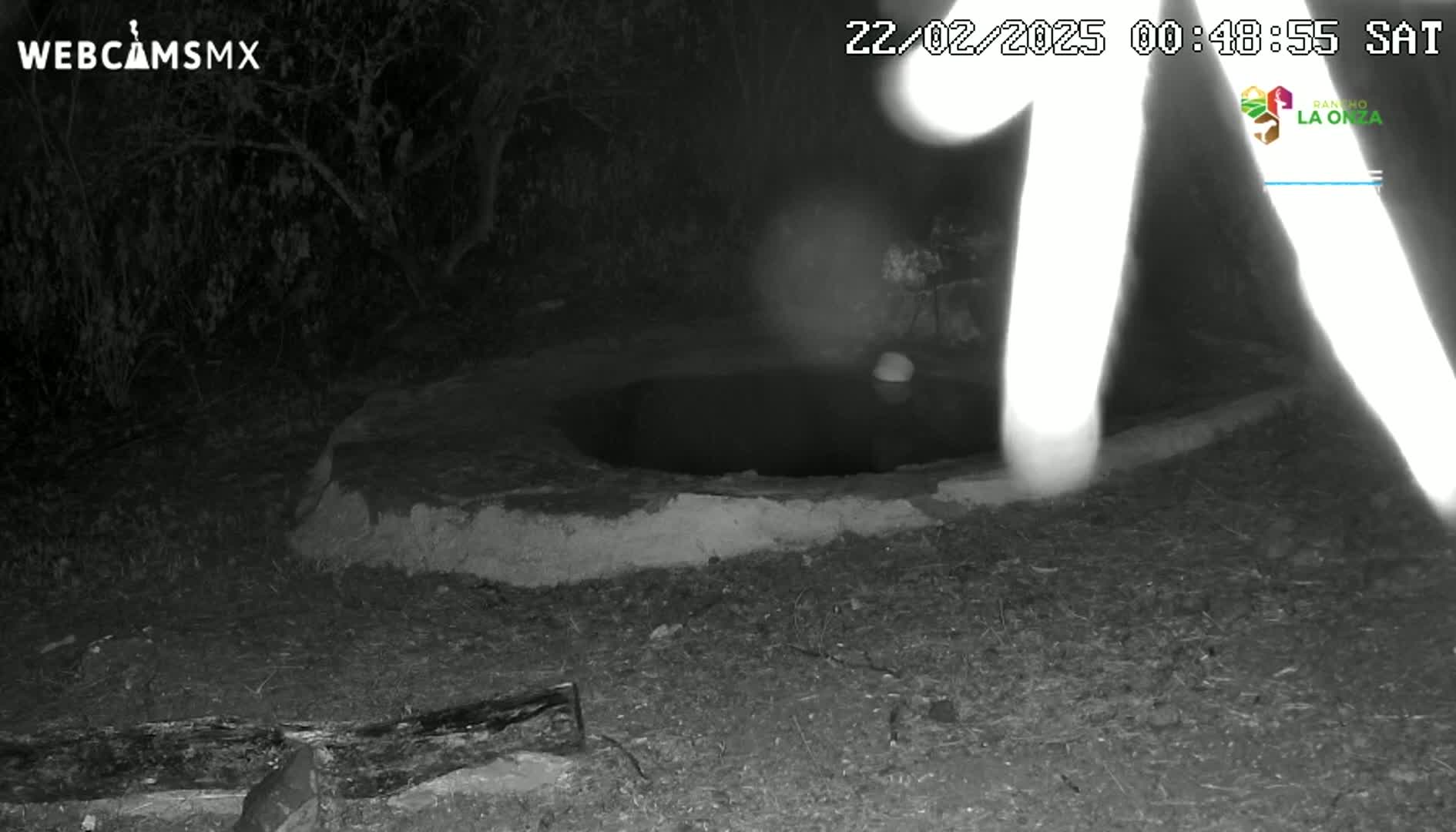 A nighttime, low-light image shows a dark, circular hole in the ground near a blurry figure walking past under a dark, tree-filled sky.