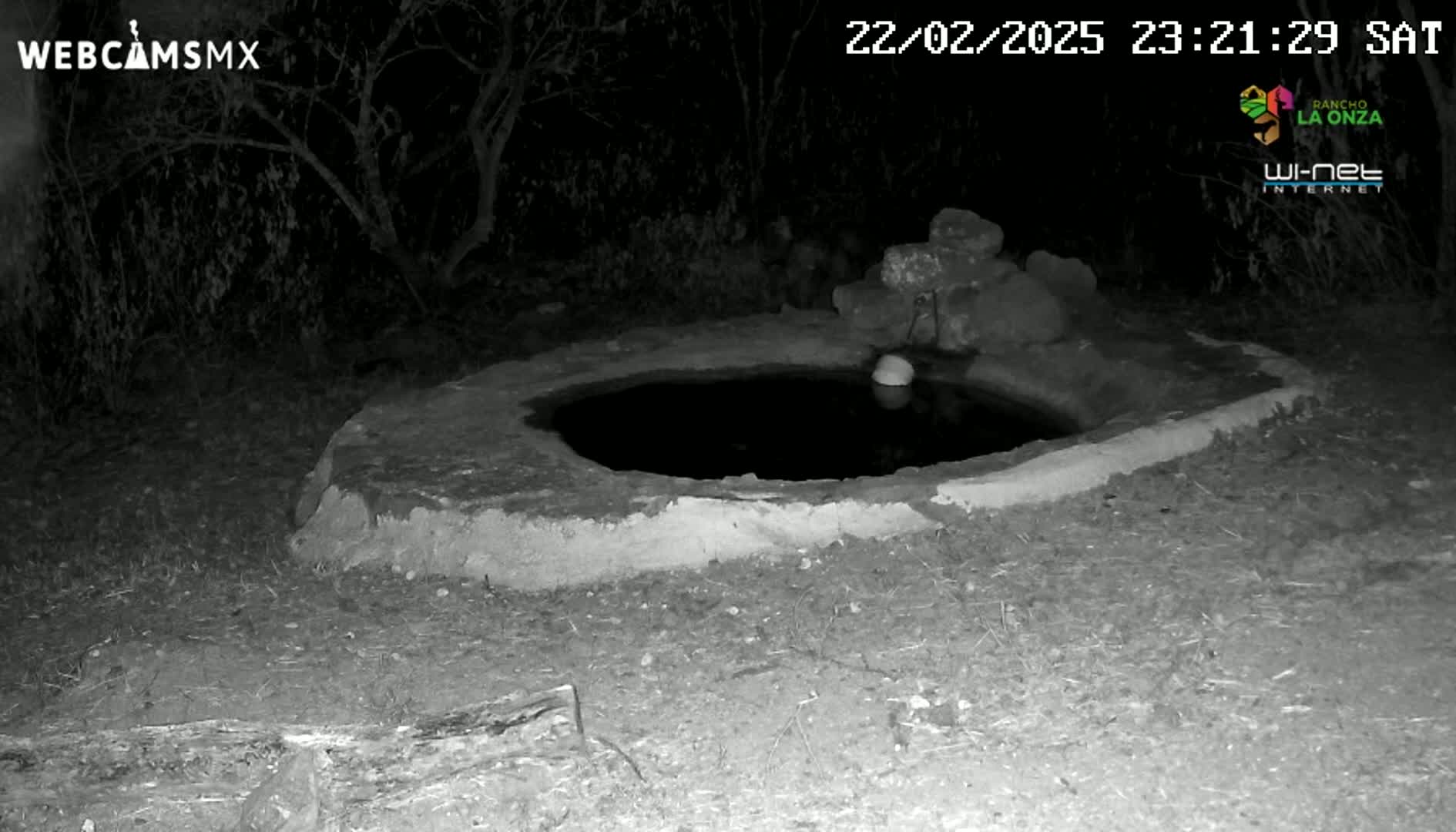 A small, round, water-filled basin is nestled into the ground at night, surrounded by dark, dry earth and vegetation.