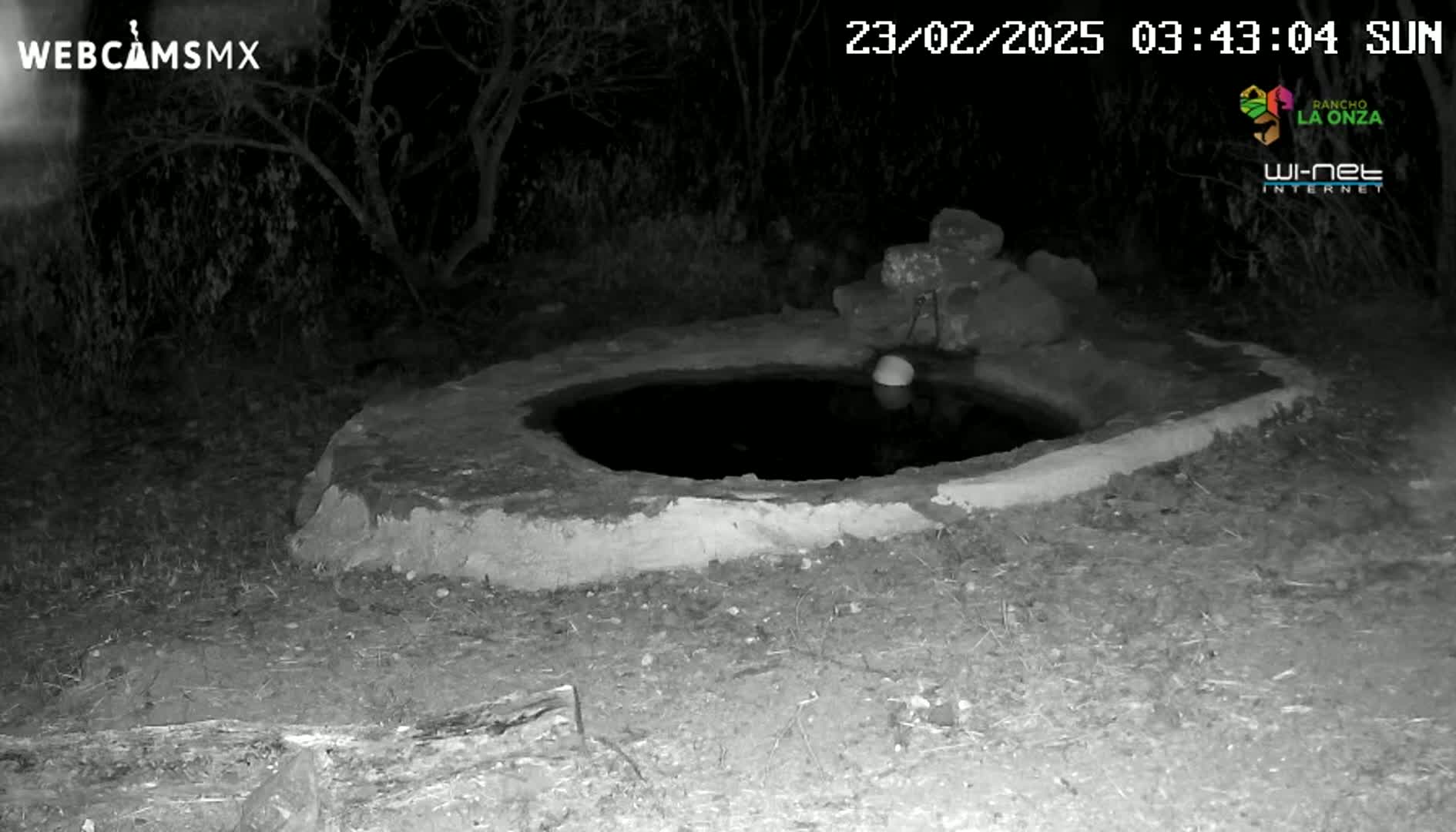 A small, round, stone well containing dark water sits in the ground at night, surrounded by sparse vegetation.
