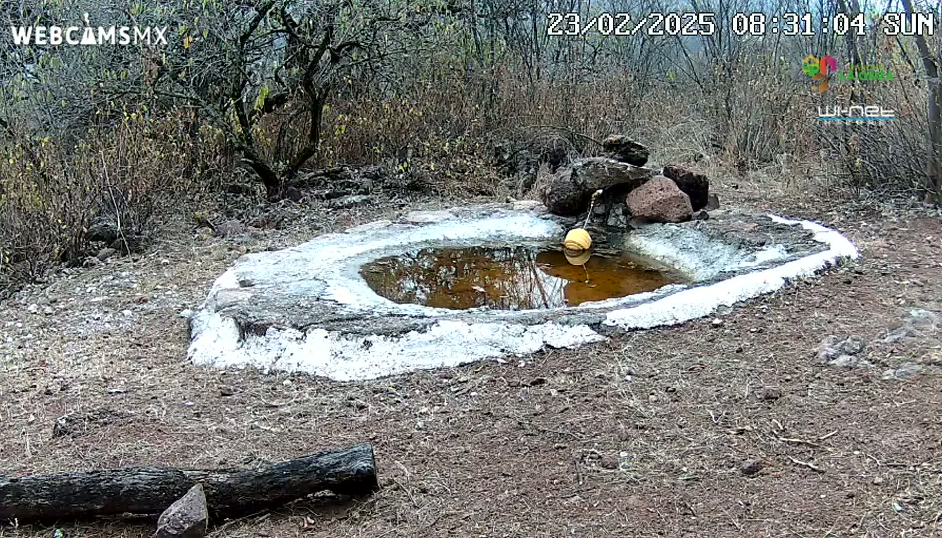 A small, shallow, stone basin with a yellow float in murky water sits in a dry, scrubby landscape under a sunny sky.