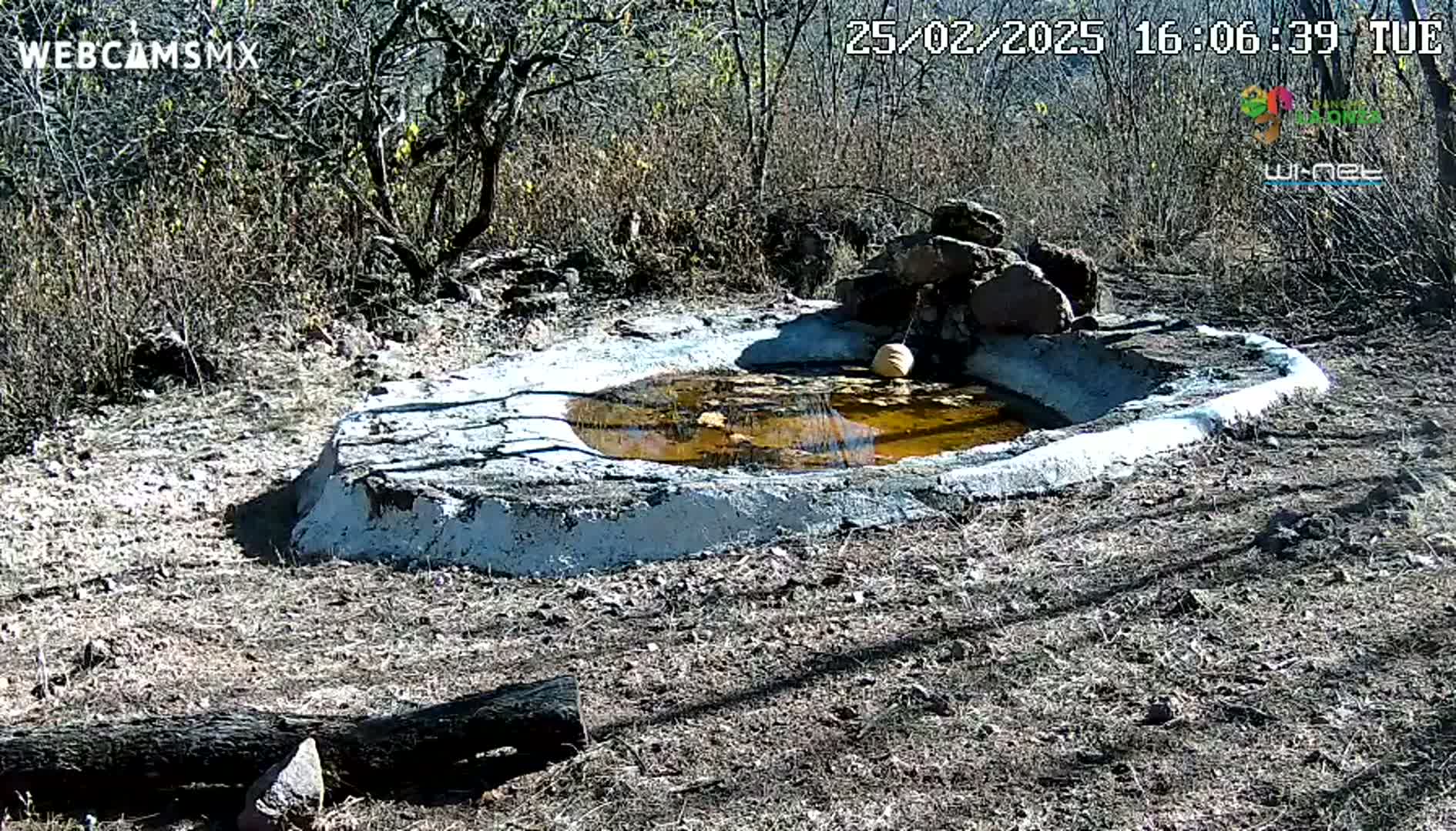 A small, shallow, muddy-brown pool of water sits in a cement basin surrounded by dry, brown vegetation under a sunny sky.