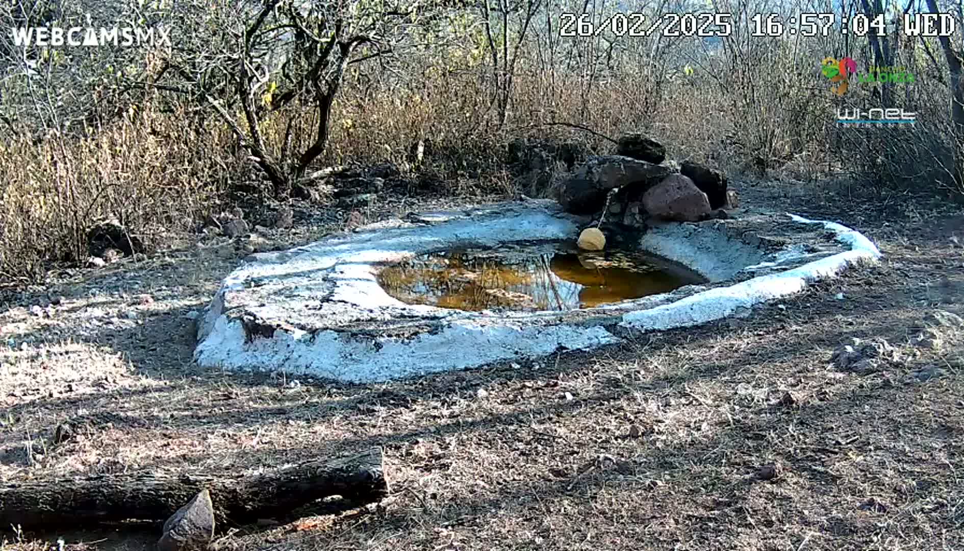 A small, shallow, concrete-lined pool of muddy water sits in a dry, scrubby landscape under a sunny sky.