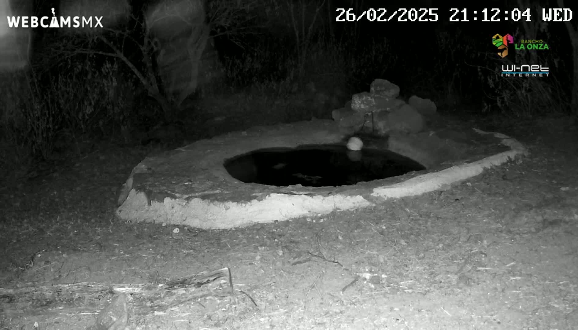 A small, circular pool of dark water sits in a low, earthen structure at night under a dark sky.