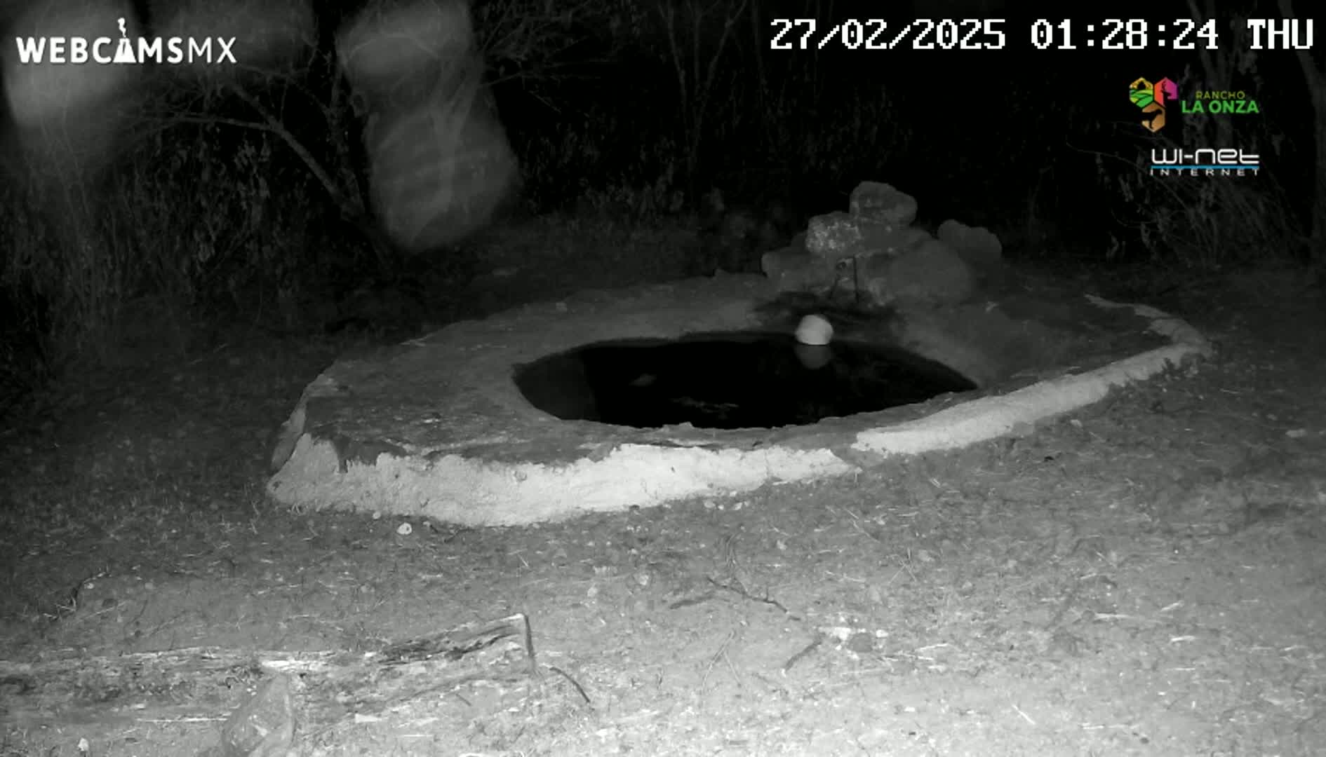 A small, dark pool of water sits within a low, earthen structure at night, under a dark sky.
