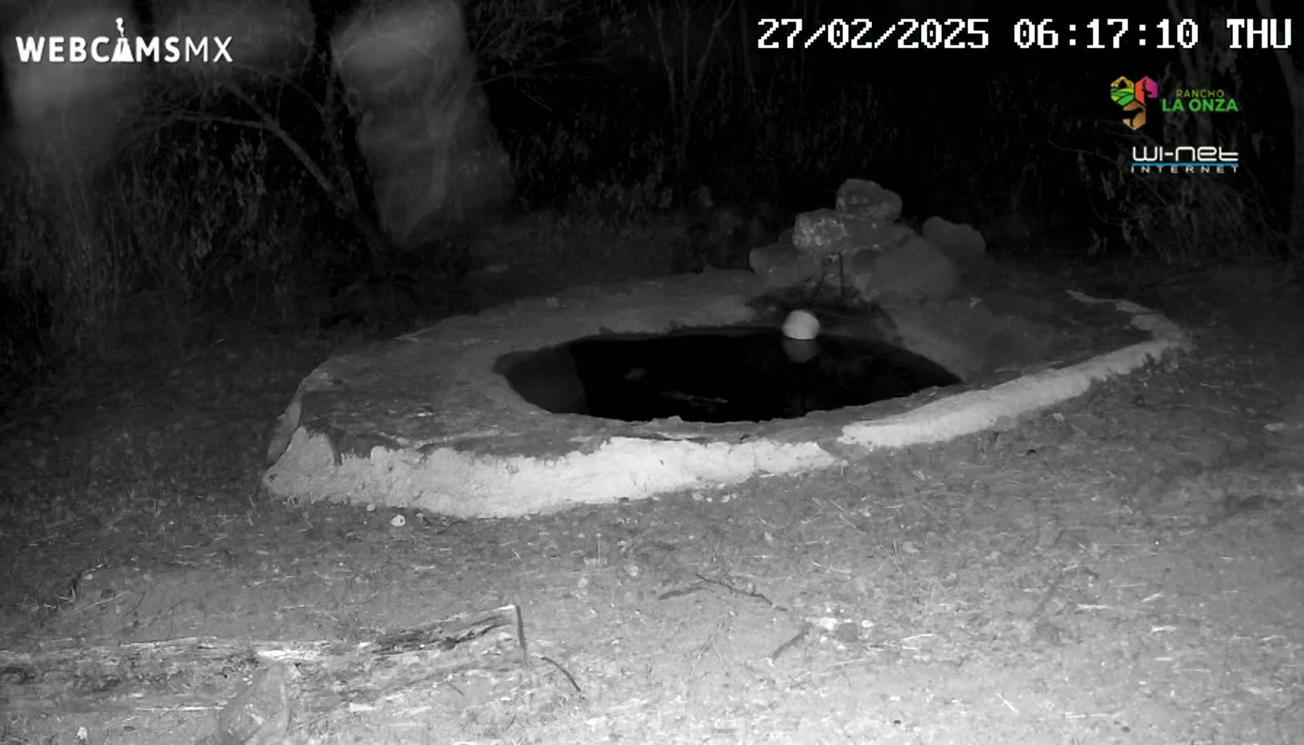 A small, dark pool of water sits in a low, earthen basin at night, surrounded by sparse vegetation.