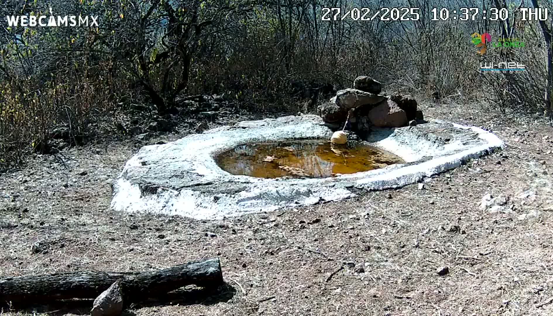 A small, shallow, water-filled basin made of concrete sits in dry, scrubby terrain under a sunny sky.
