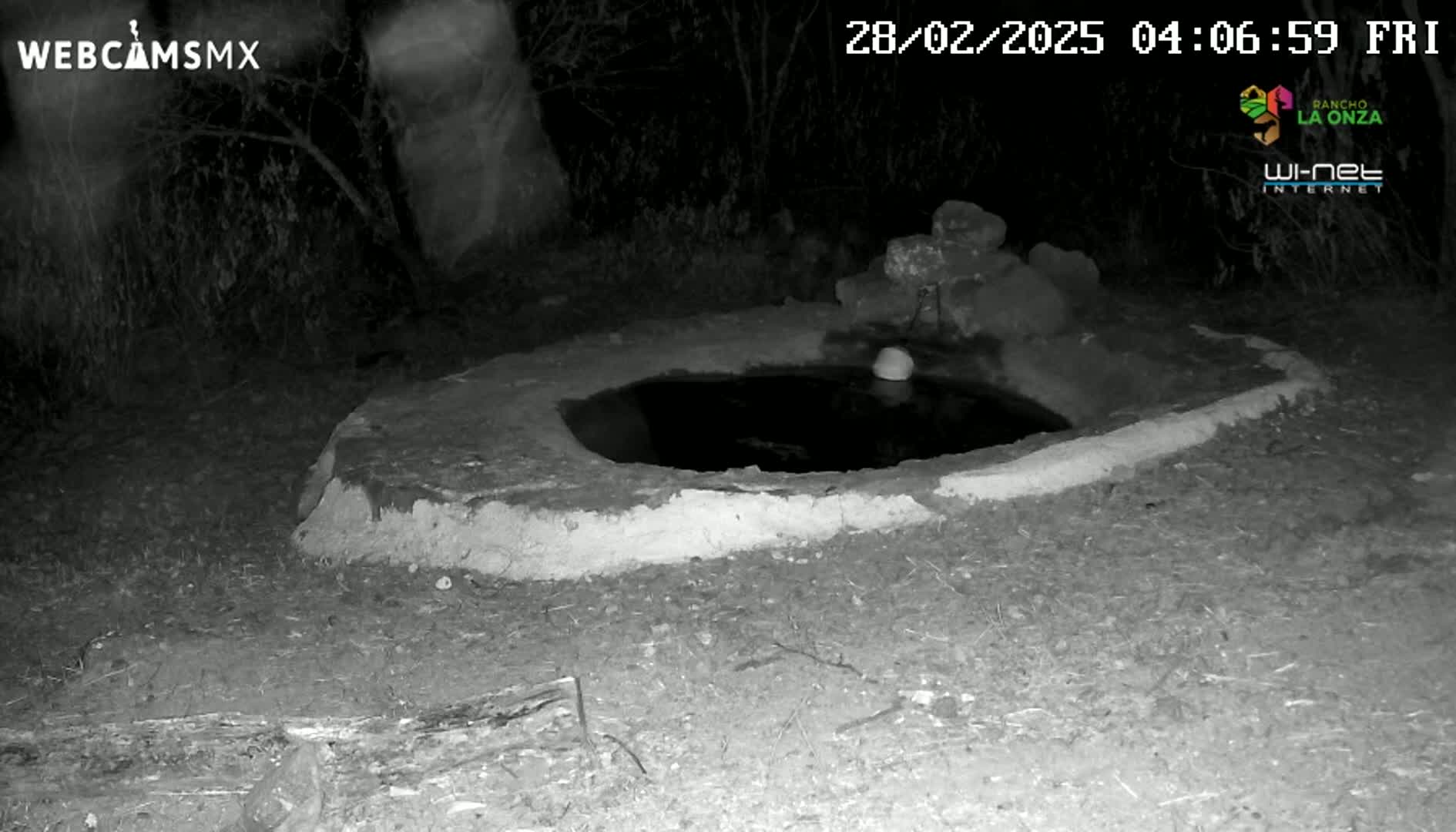 A small, dark pool of water sits within a low, stone-and-dirt basin at night.