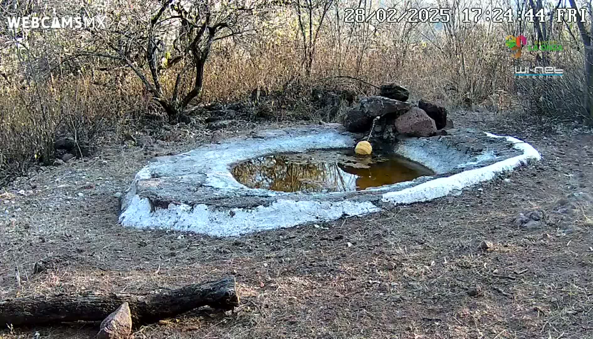 A small, shallow, circular pool of water sits in a dry, brown landscape, surrounded by rocks and sparse, leafless brush under a sunny sky.