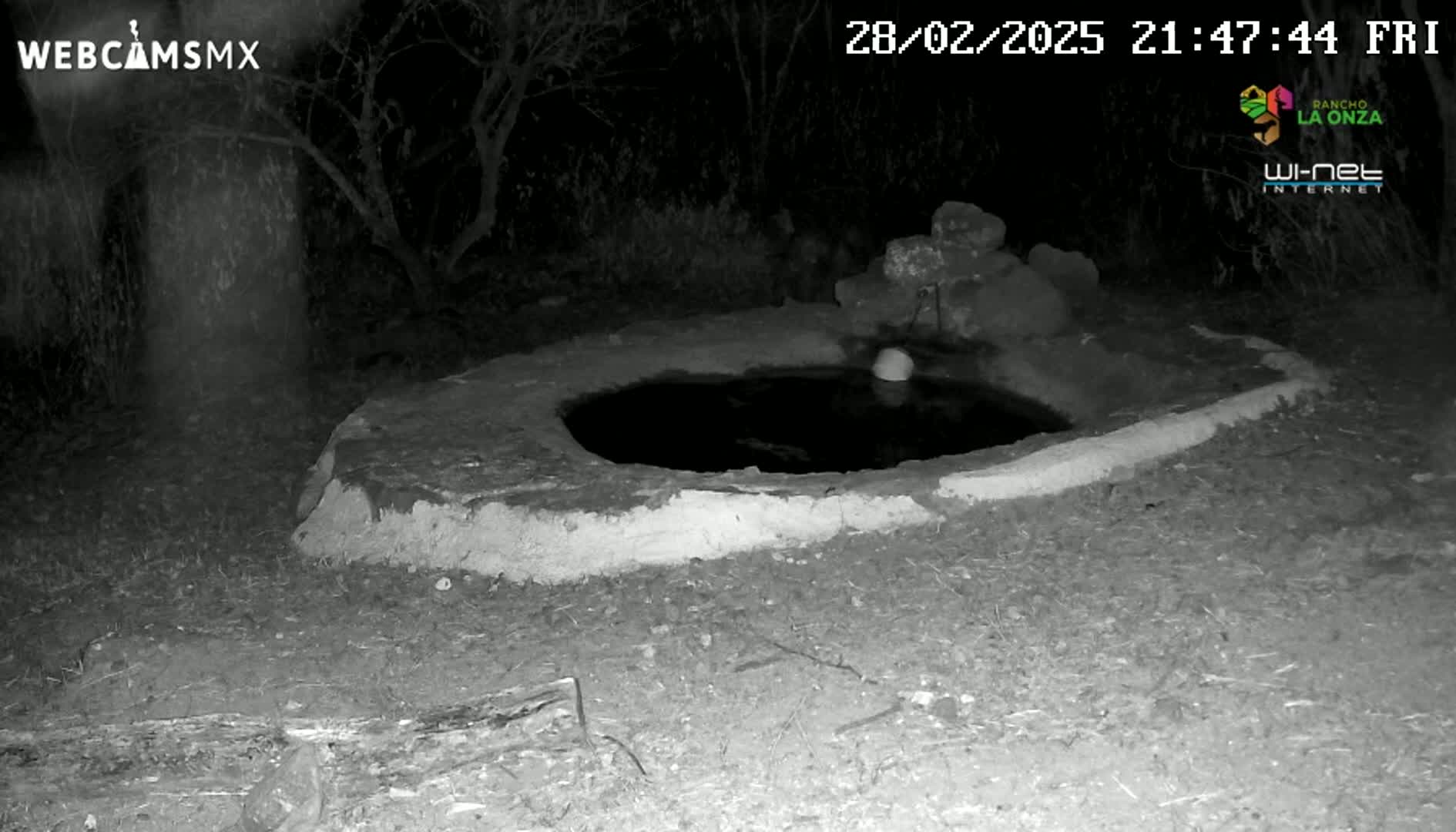 A nighttime infrared image shows a shallow, dark pool of water in a low stone basin surrounded by dry ground and trees under a clear, dark sky.