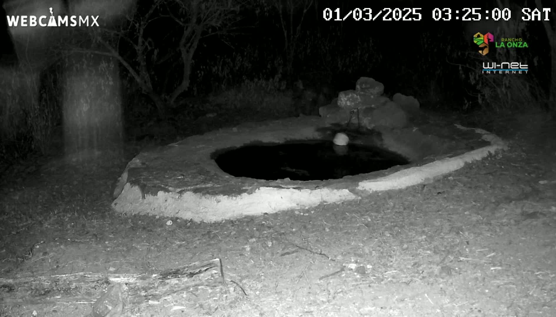 A small, dark pool of water sits in a low, earthen basin at night, surrounded by sparse vegetation under a dark sky.