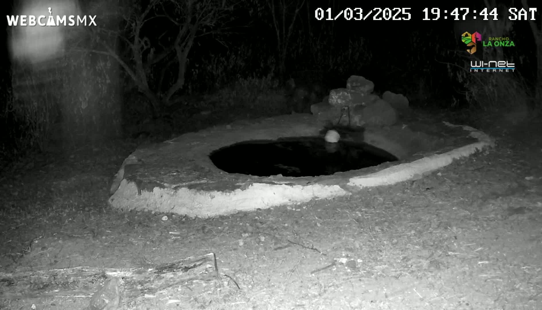 A small, dark pool of water sits within a low, earthen wall at night, surrounded by sparse, dry ground under a dark sky.