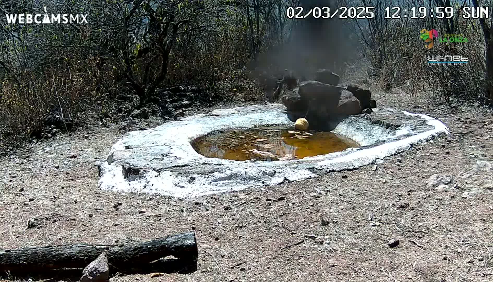 A small, shallow, muddy pool of water sits within a stone basin, surrounded by dry, brown ground under a sunny sky.