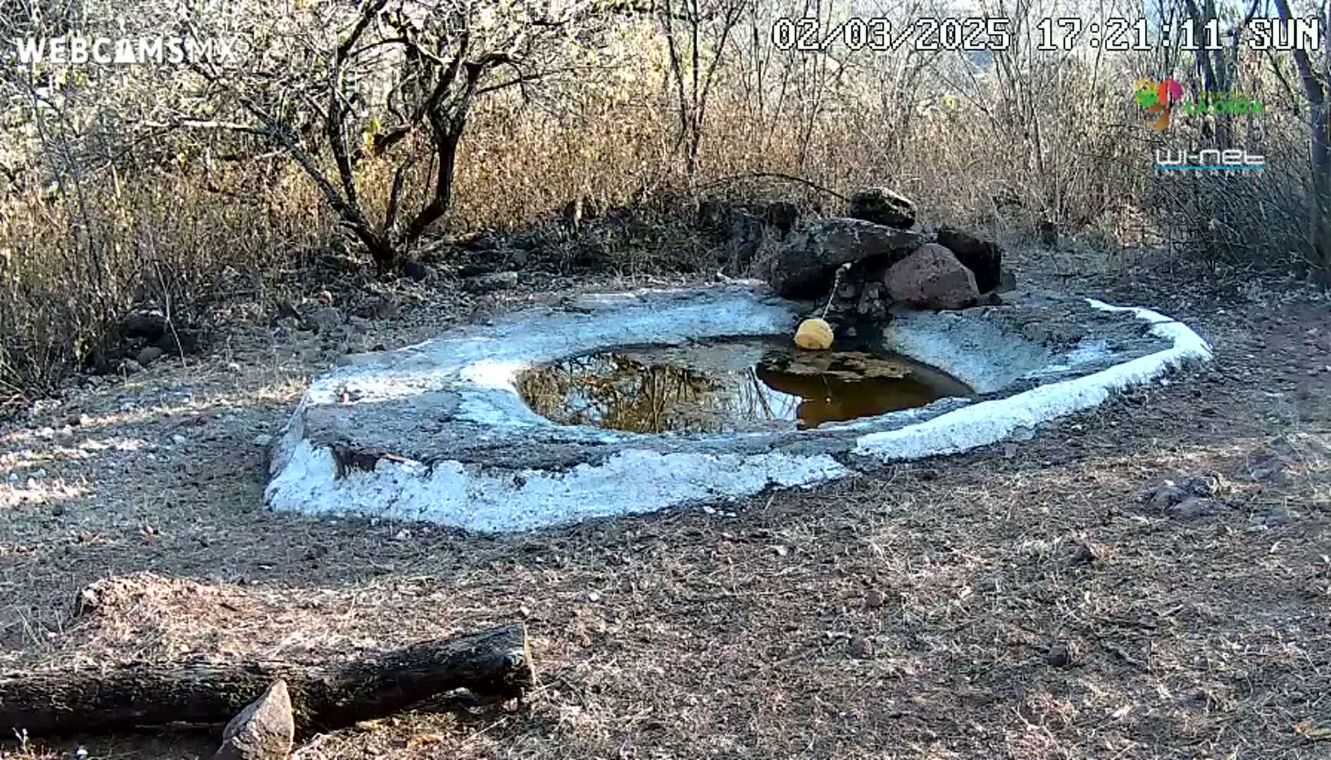 A small, shallow, concrete pool of water sits in a dry, scrubby landscape under a sunny sky.
