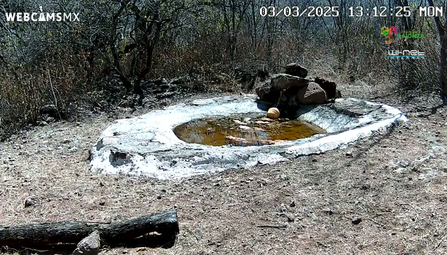 A small, shallow, circular pool of murky brown water sits in a low, white-painted stone structure in a dry, sunny, scrubland environment.