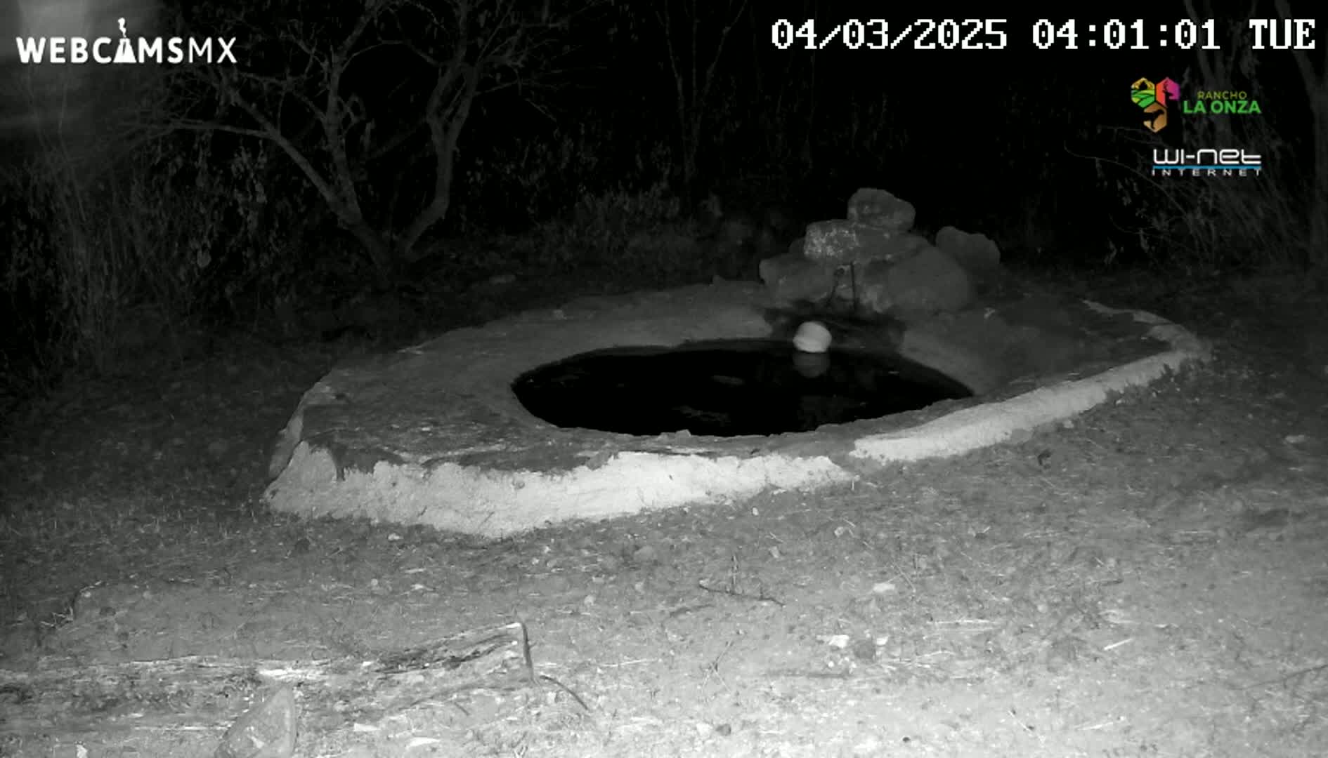 A small, round, water-filled basin sits in the dark, surrounded by dry ground and sparse vegetation at night.