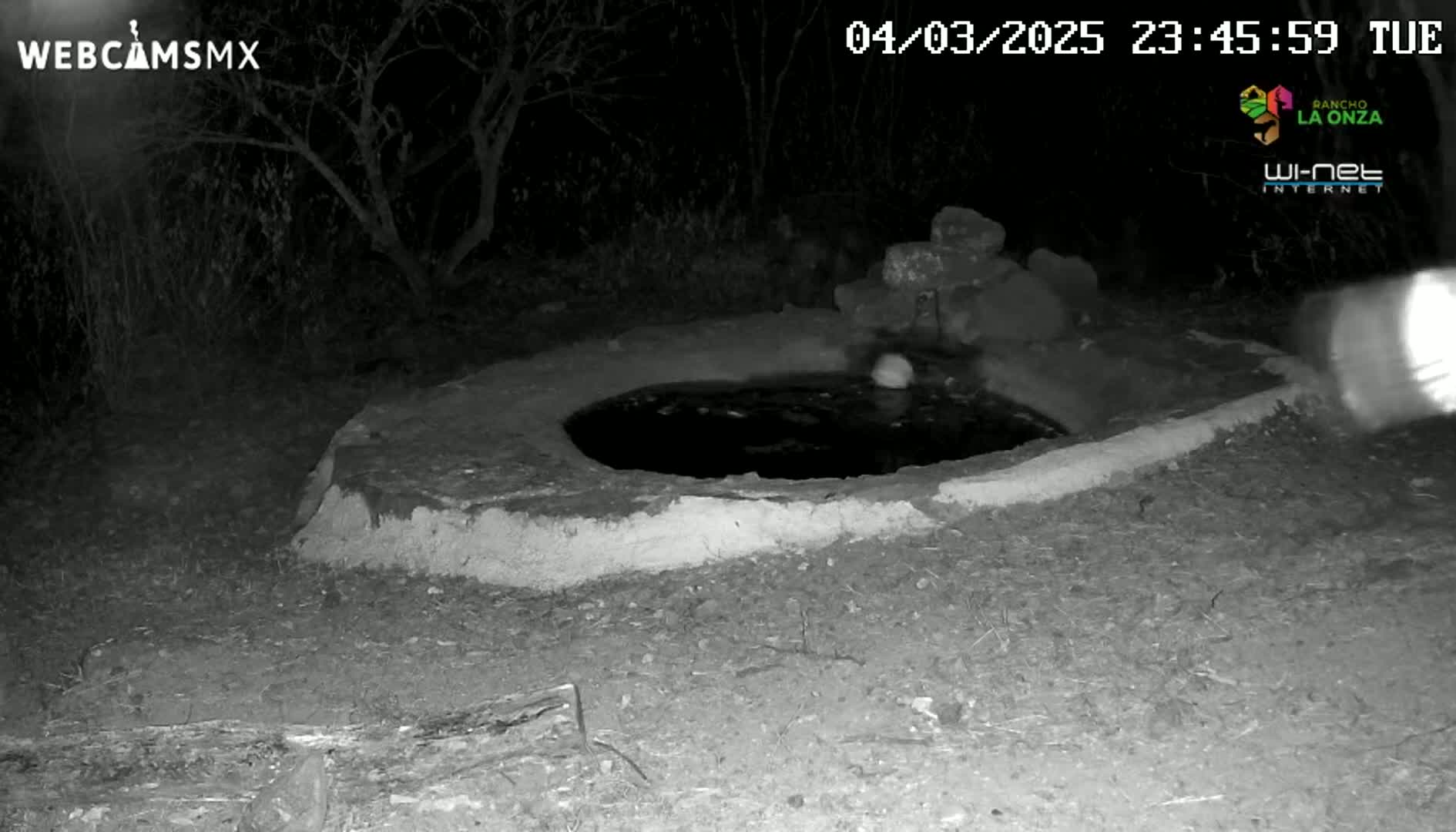 A small, dark, water-filled basin is partially surrounded by a low, light-colored wall at night.