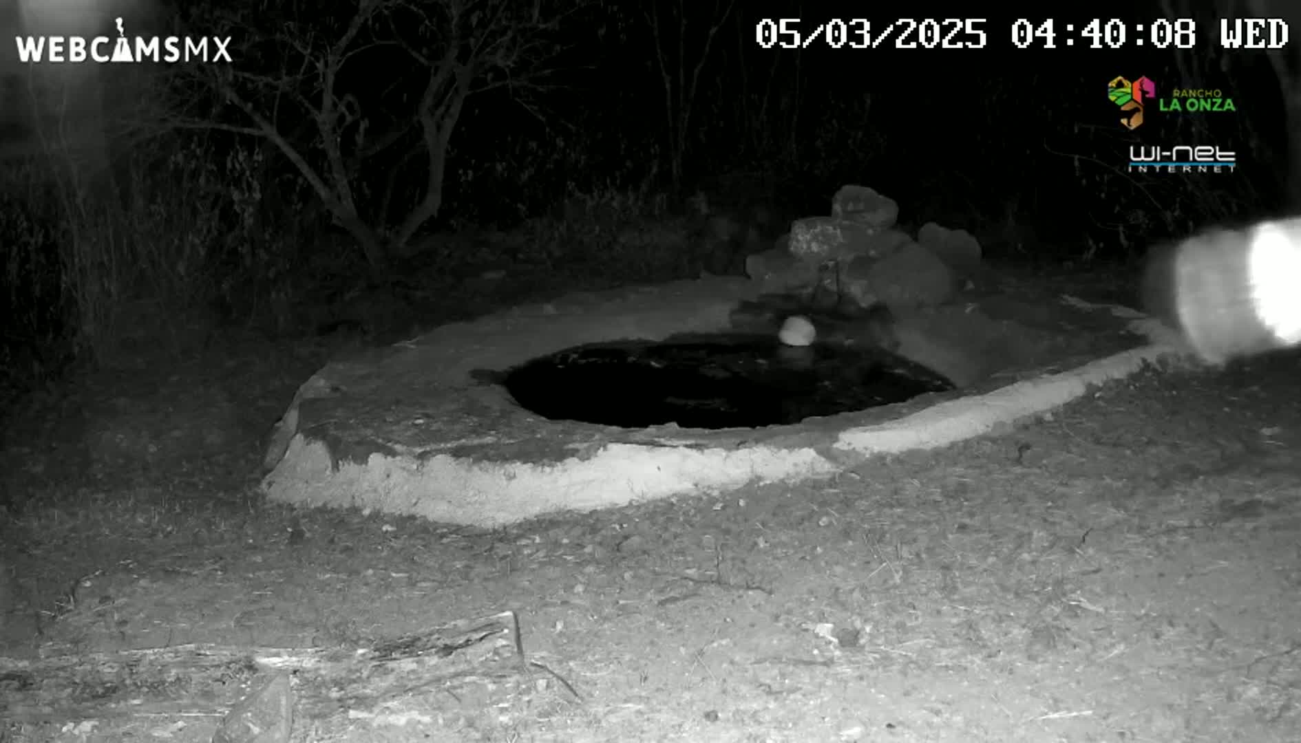 A nighttime, infrared image shows a small, round, cement-lined water basin partially filled with water, situated in a dark, sparsely vegetated area.