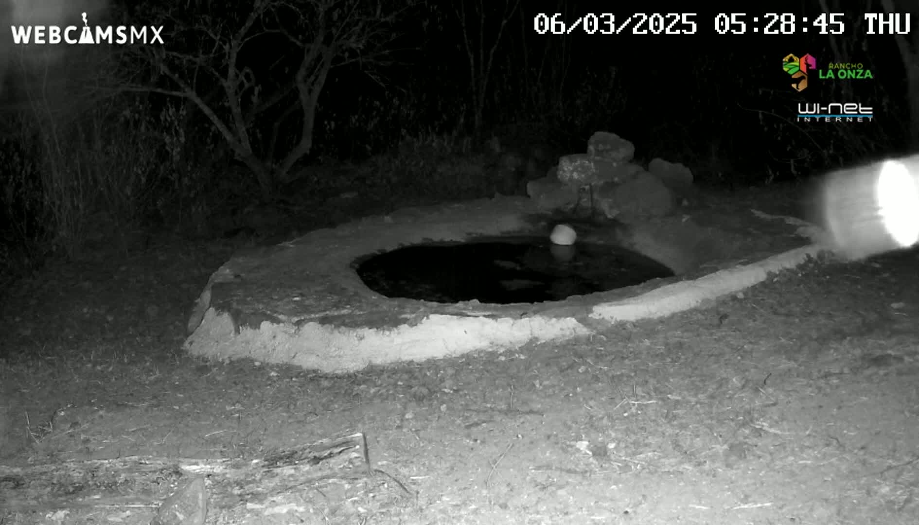 A small, round, earthen water basin sits in the dark under a night sky, surrounded by sparse vegetation.