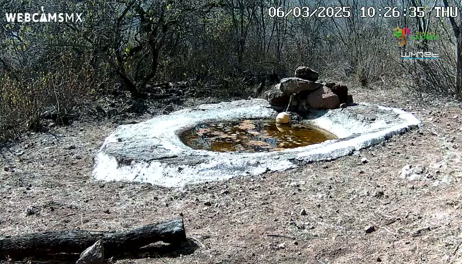 A small, shallow, oval-shaped pool of muddy water sits in a rocky, arid landscape under a sunny sky.