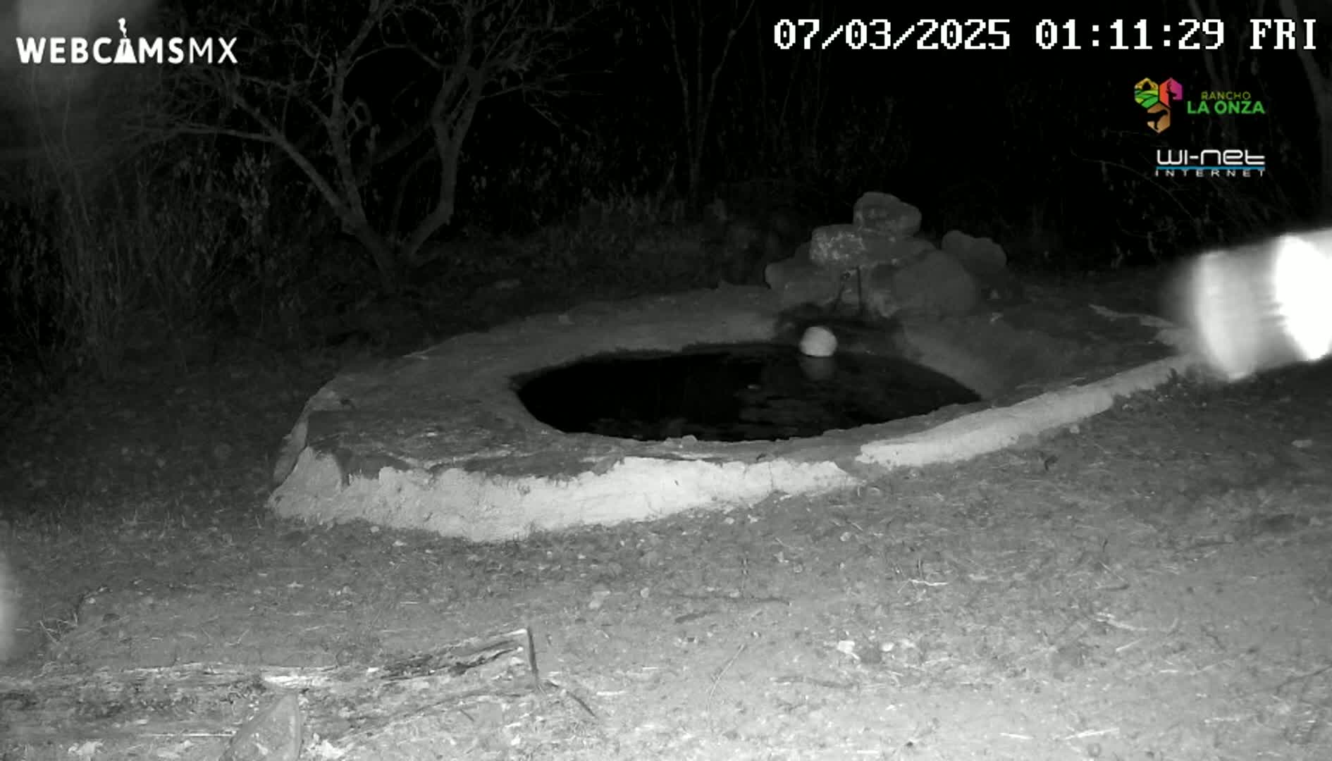A small, shallow, stone-lined pool of water sits in the dark under a night sky, surrounded by sparse vegetation.