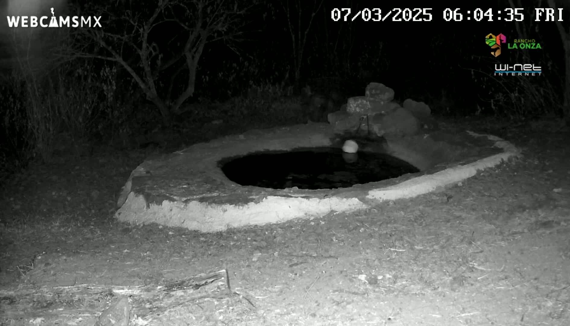 A small, circular pool of water sits in a low, earthen structure at night, surrounded by dark vegetation.