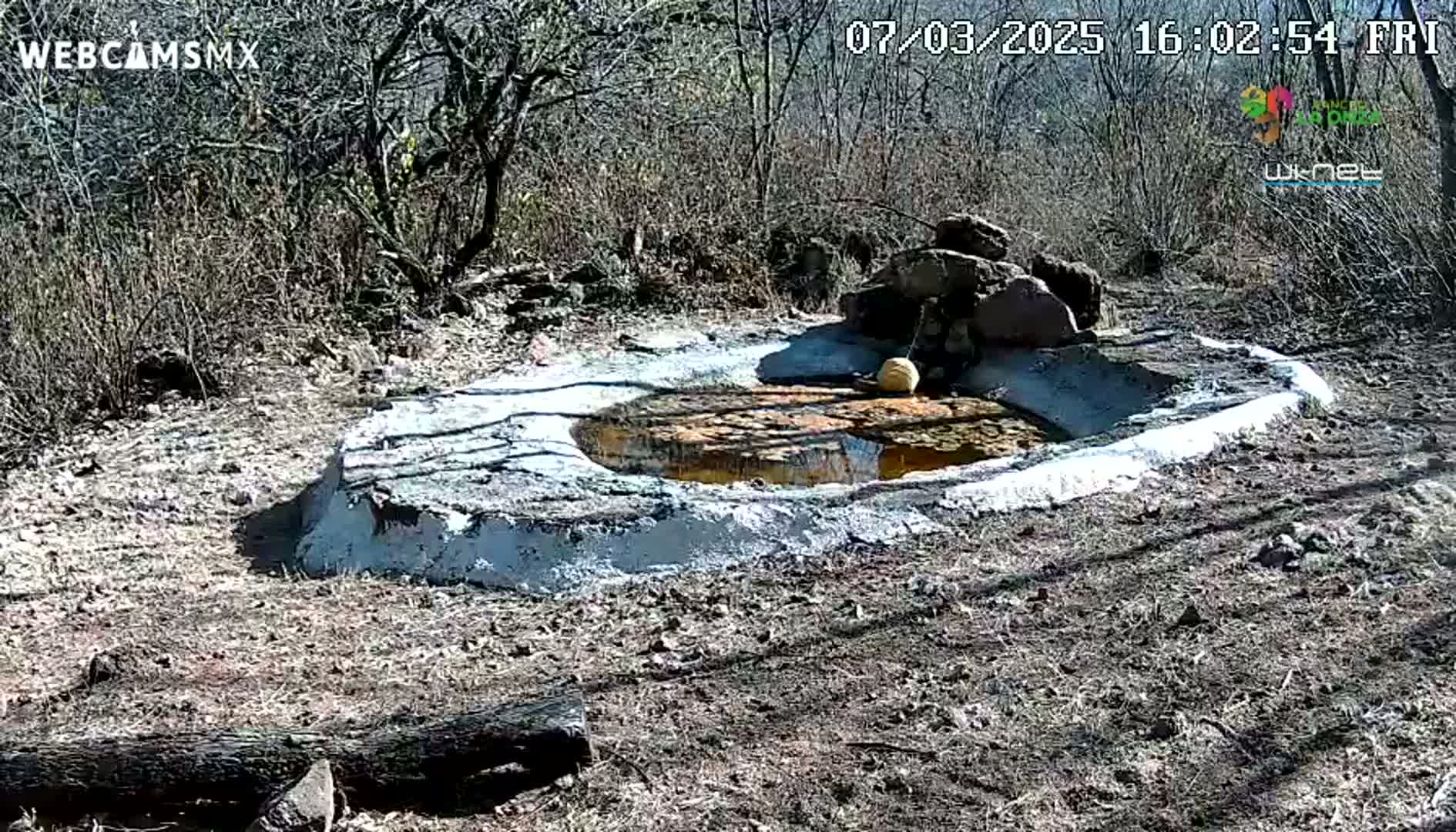 A small, shallow, round pool of muddy water sits within a cement structure surrounded by dry, brown scrubland under a sunny sky.