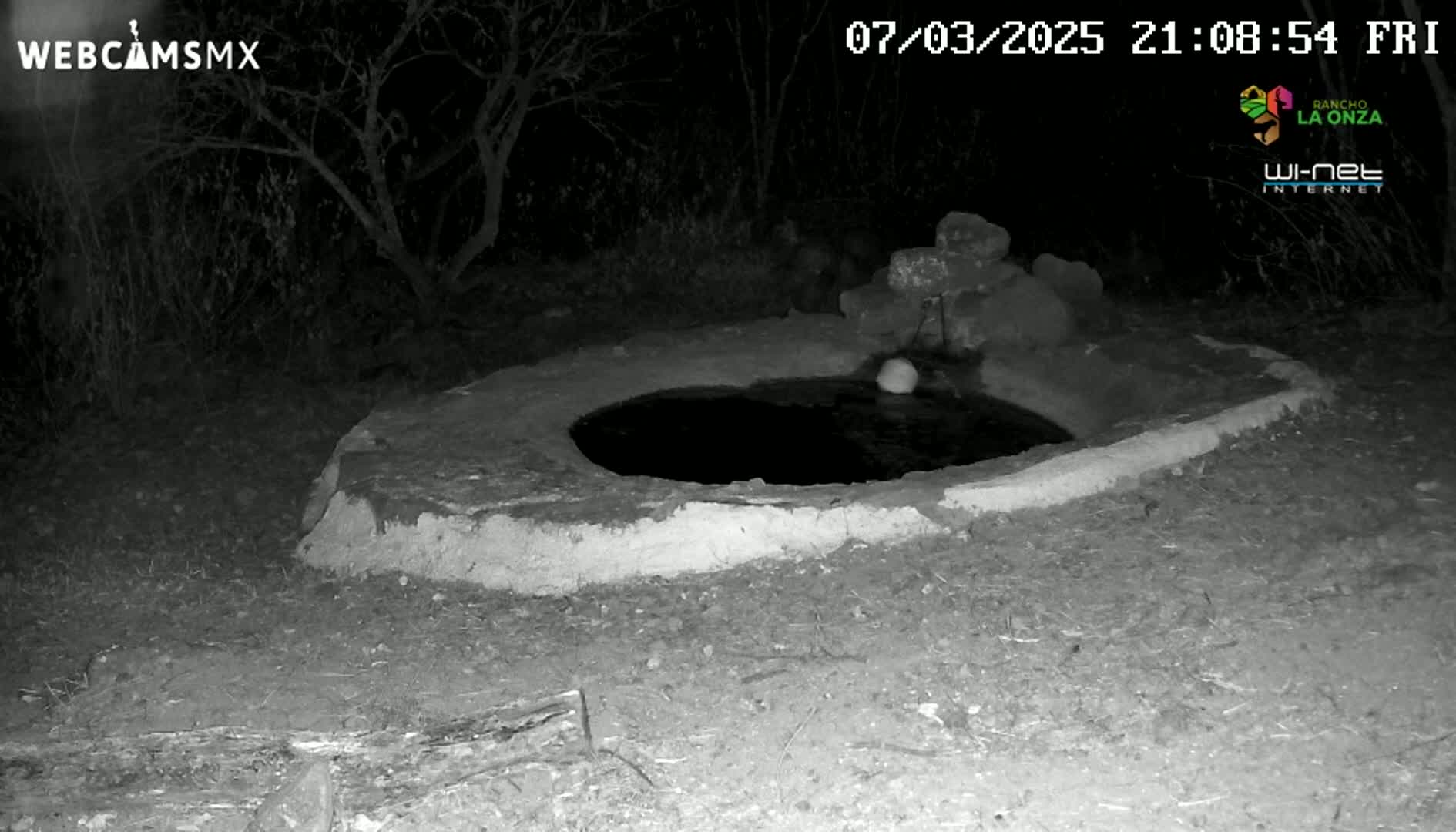 A small, dark pool of water sits in a low, stone basin at night, surrounded by dry, dark ground and leafless trees.