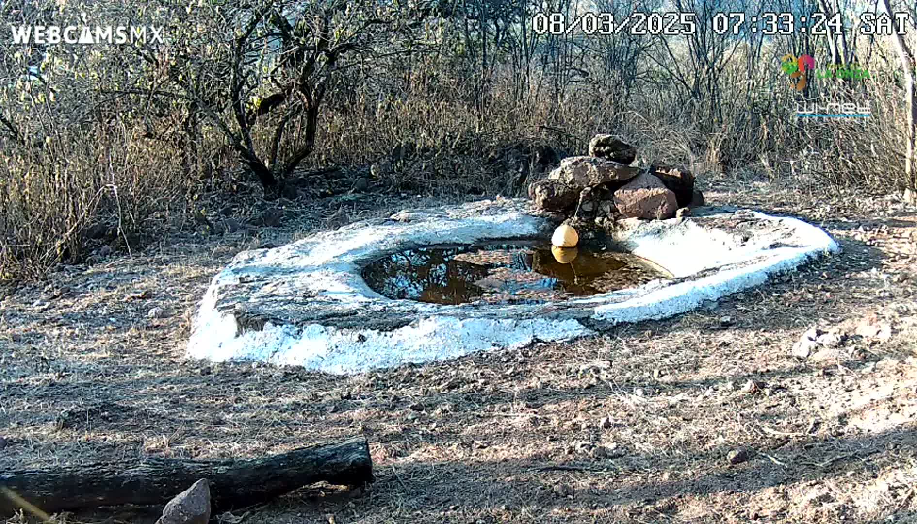 A small, shallow, man-made pool of water sits in a dry, scrubby landscape under a sunny sky.