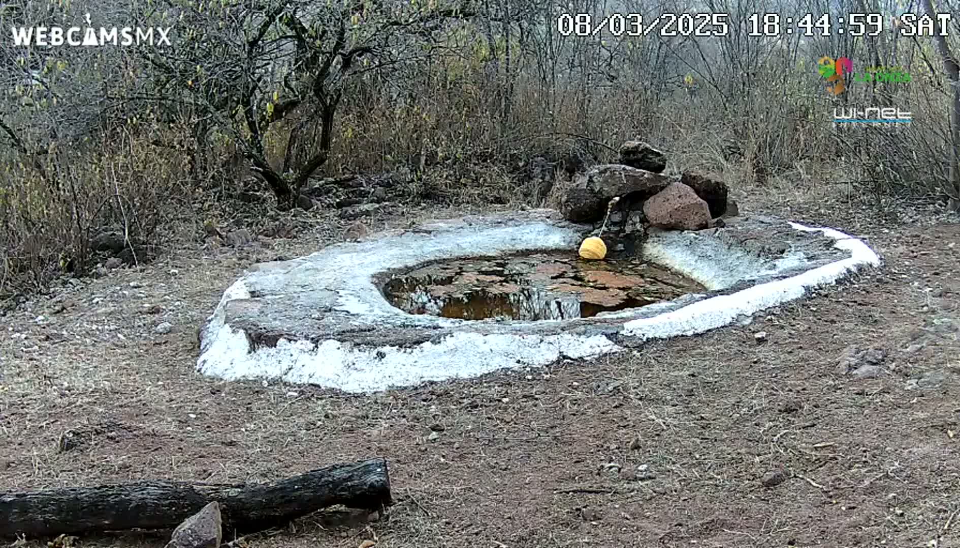 A small, stone water basin with a yellow float in the water sits in a dry, scrubby landscape.