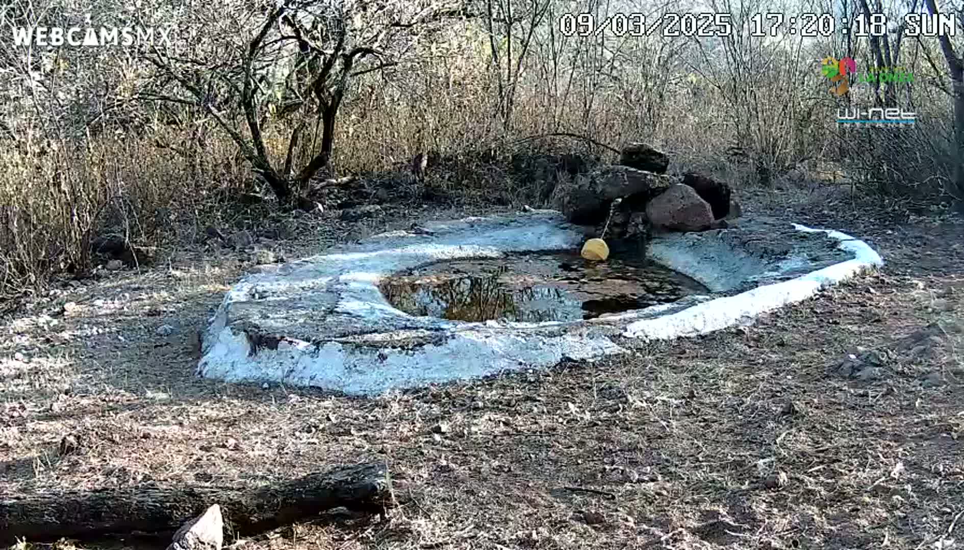A small, partially-filled, cement-lined water basin sits in a dry, scrubby landscape under a sunny sky.