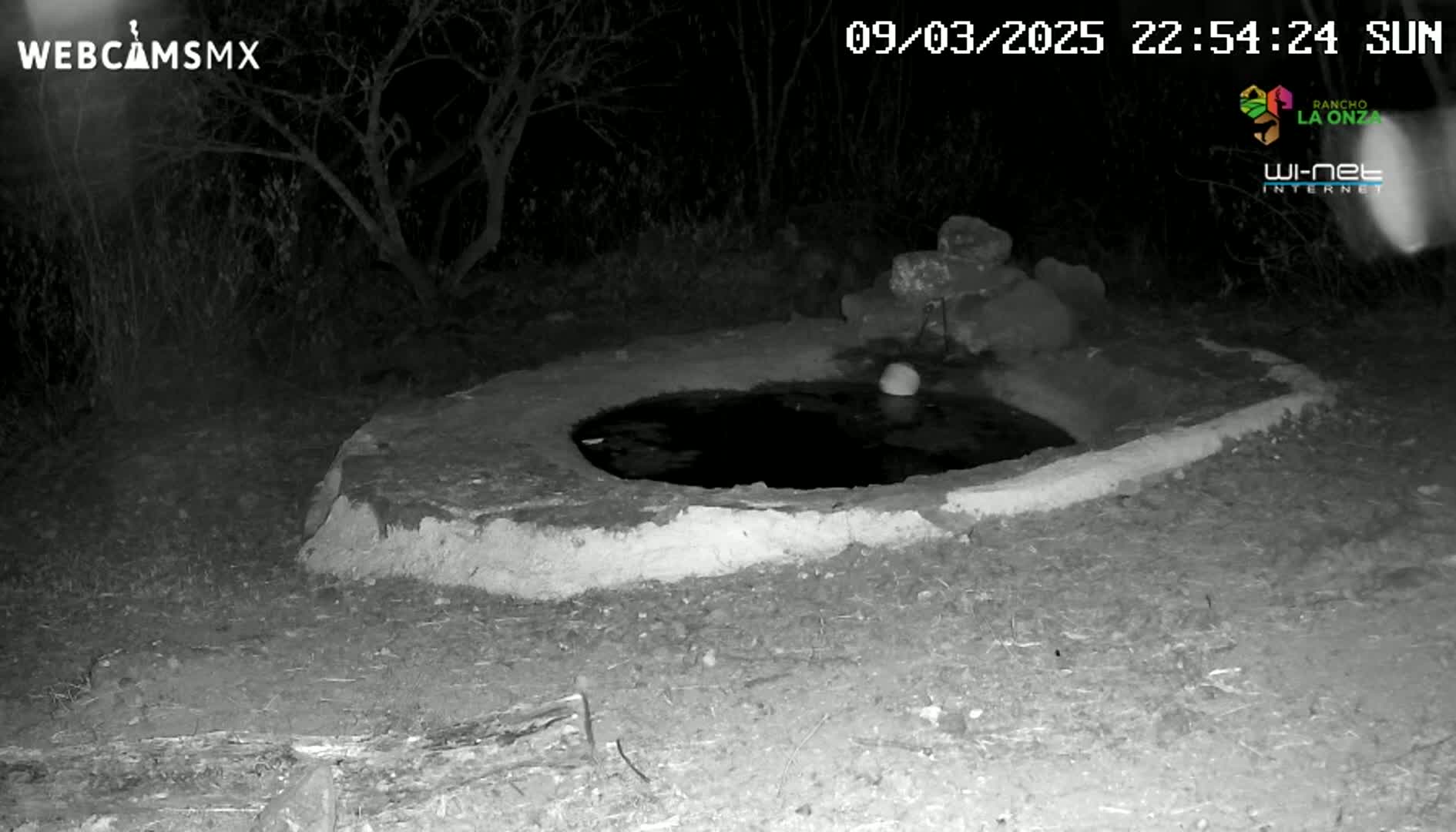 A nighttime, black-and-white image shows a small, round, water-filled basin made of concrete or stone, surrounded by dark vegetation.