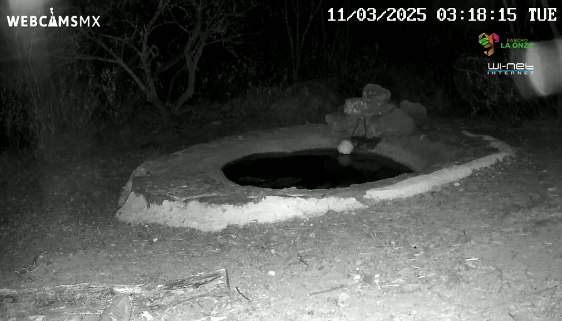 A small, circular, stone water basin sits in the dark under a night sky surrounded by sparse vegetation.