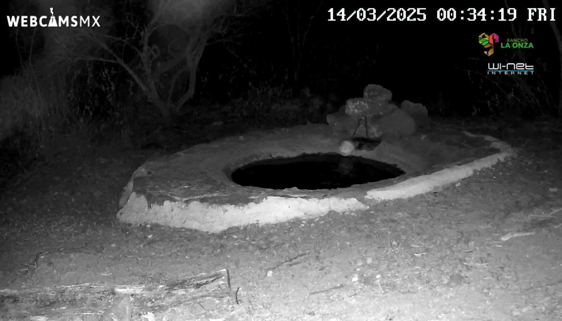A circular, stone well or cistern with dark water sits in the ground at night under a dark, tree-filled sky.