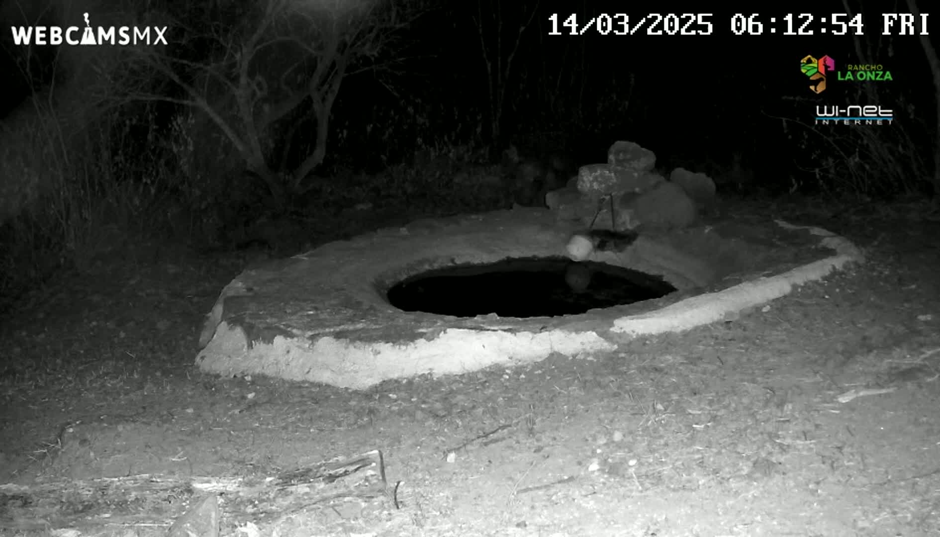 A nighttime, black-and-white image shows a circular, stone well or cistern surrounded by sparse vegetation.