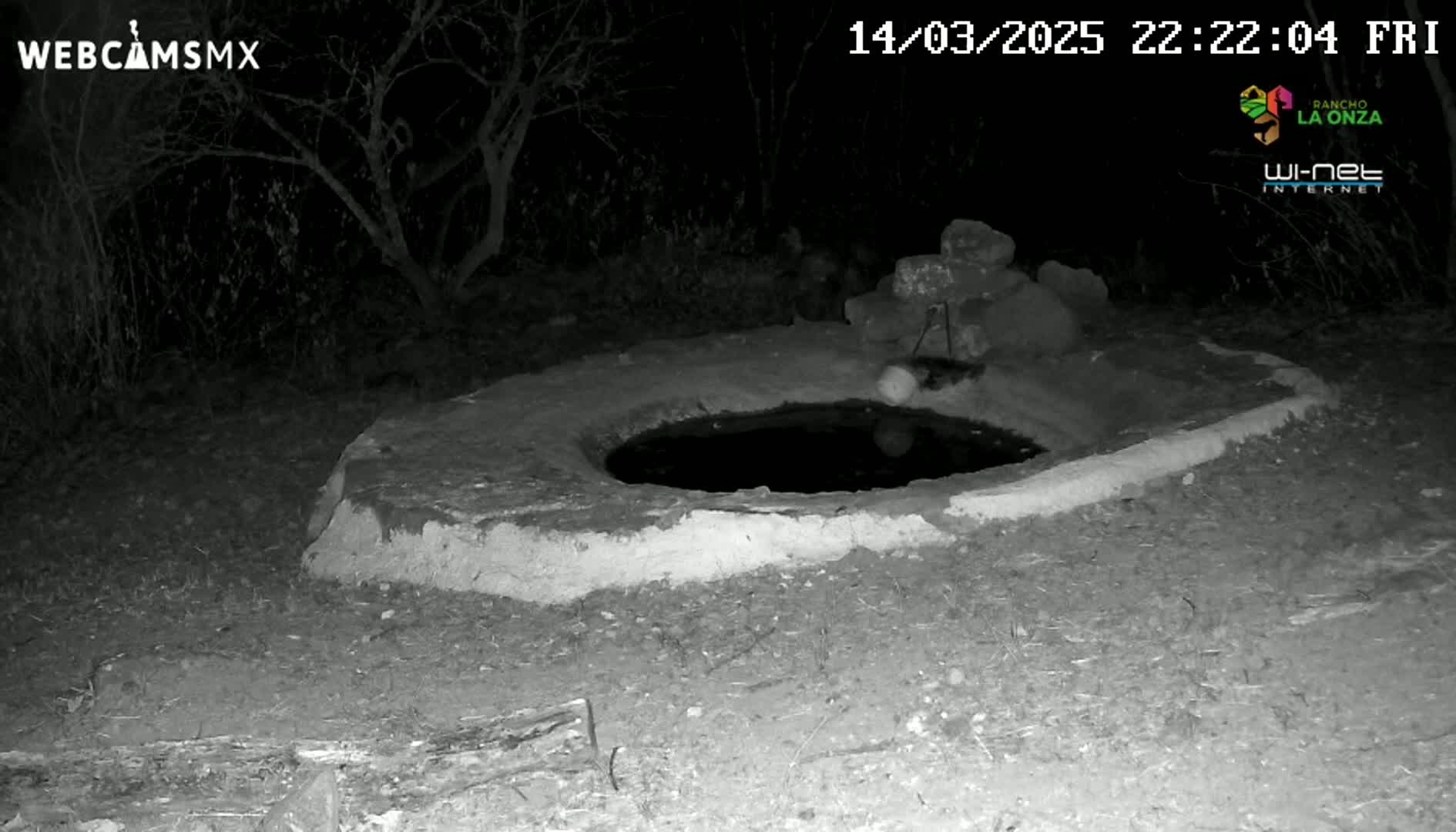 A circular, dark pool of water sits within a low, concrete structure at night, surrounded by bare trees and ground under a dark sky.